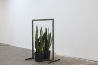 https://salonuldeproiecte.ro/files/gimgs/th-40_49_ Vlad Nancă - Commune sense (reflexion on vicinity), 2013 - mixed media (window  frame, Sansevieria trifasciata plants), 90 x 63 x 47 cm.jpg